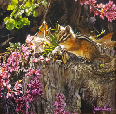 Chipmunk and Red Buds - John Mullane