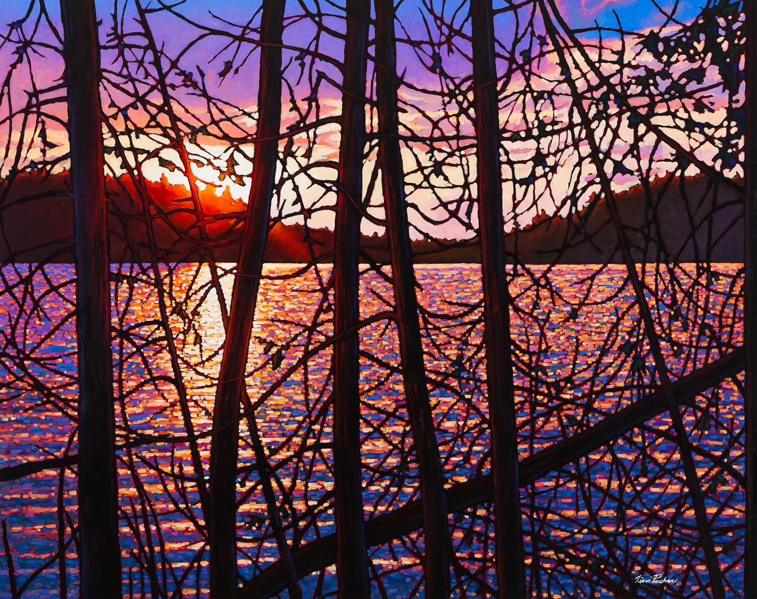 matrix Effektivitet tvetydigheden The Art of Tim Packer | Picture This Gallery | Edmonton Region & Sherwood  Park Art Gallery