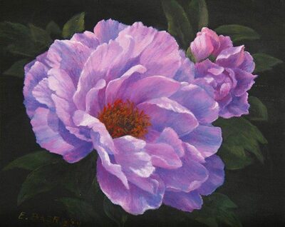 “First Arrival” Itoh Peony - Elsie Baer