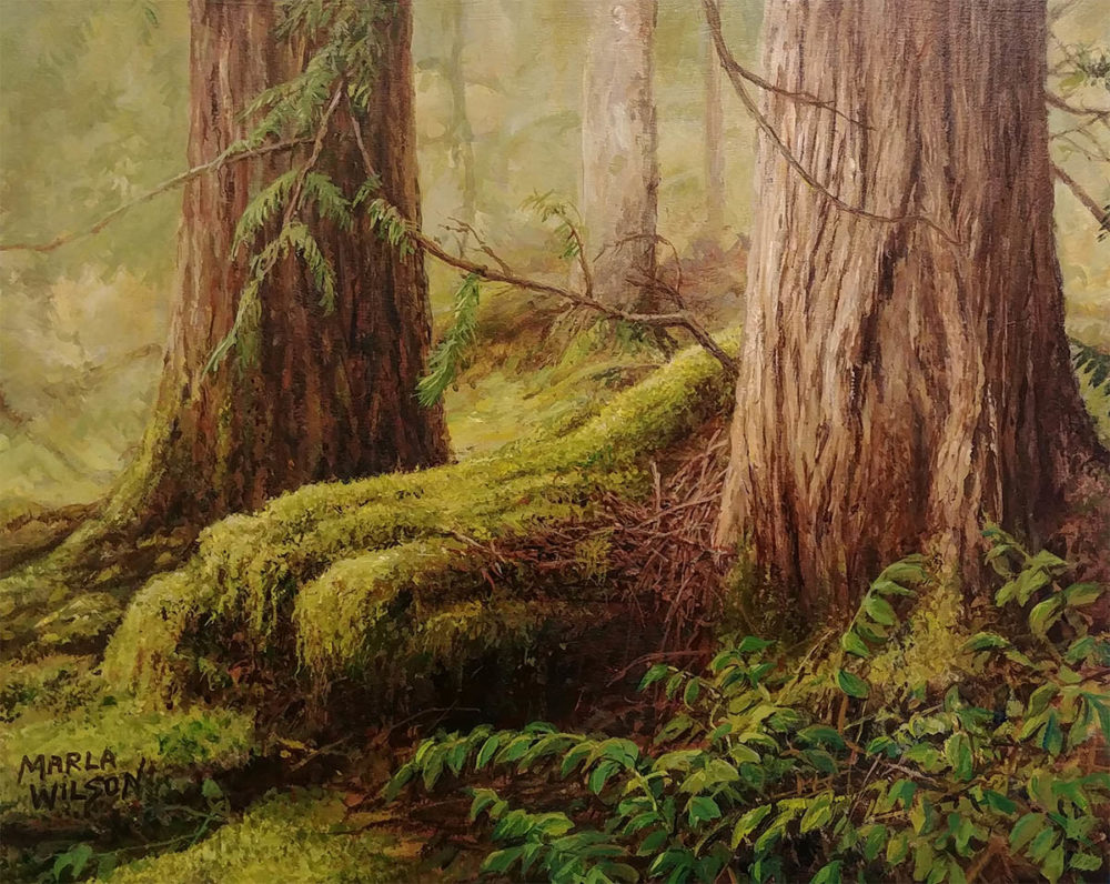 Forest Floor - Marla Wilson