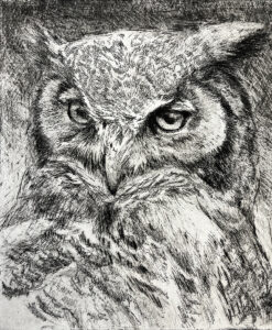 Great Horned Owl - Robert Bateman