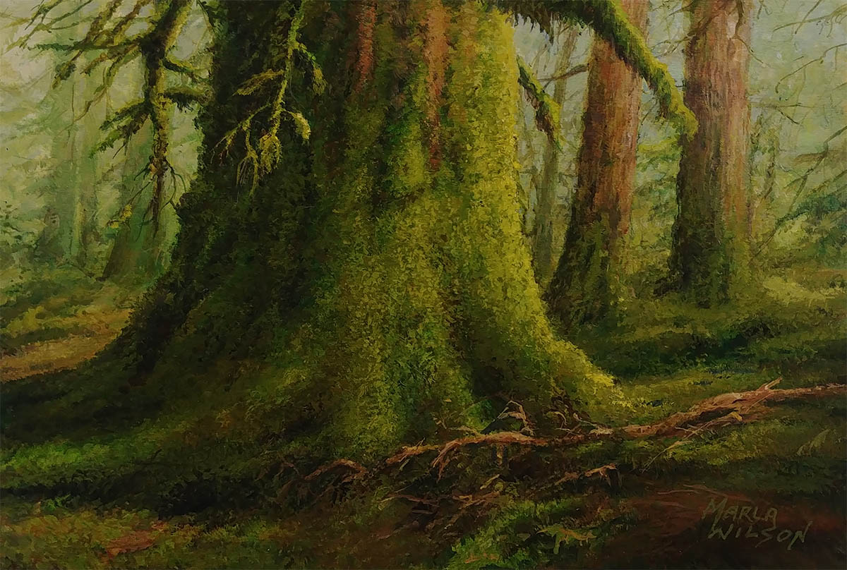 Mossy Forest - Picture This Framing & Gallery