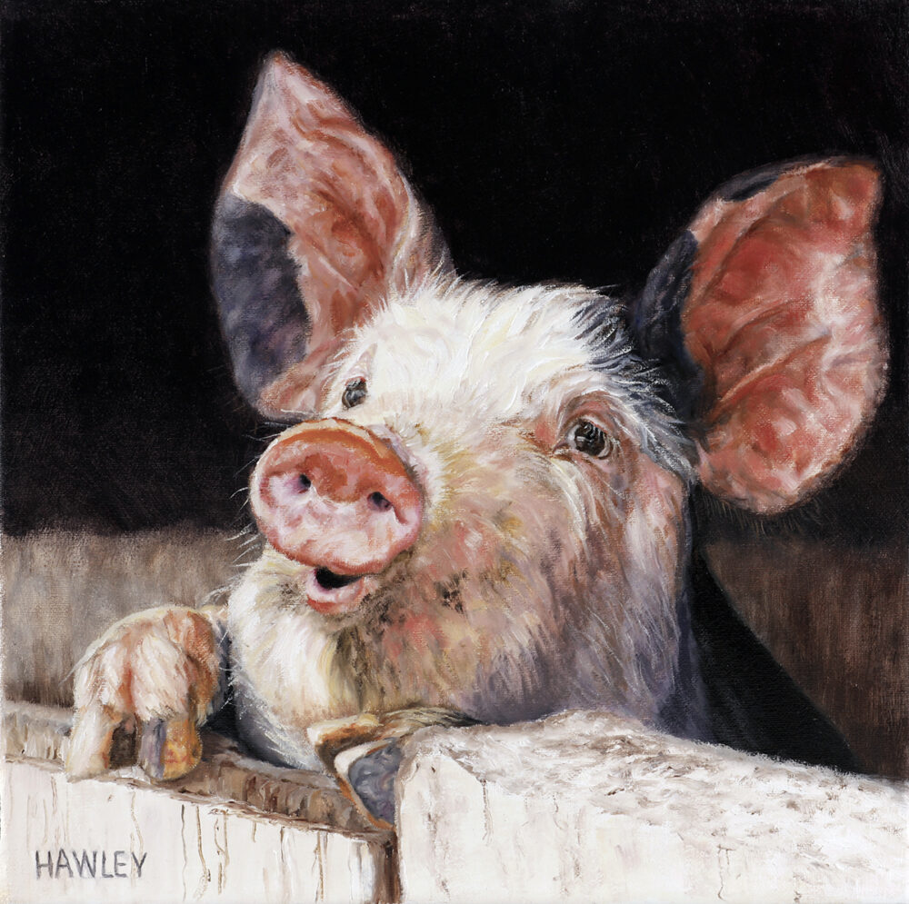 Pig Pen - Heather Hawley