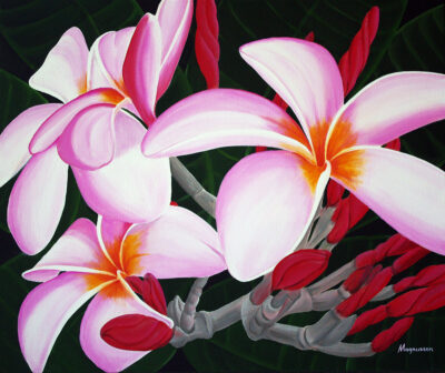 Plumeria Passion - Dennis Magnusson