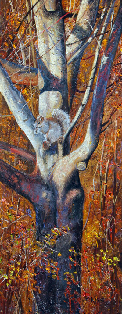 Red Squirrel - Andrew Kiss