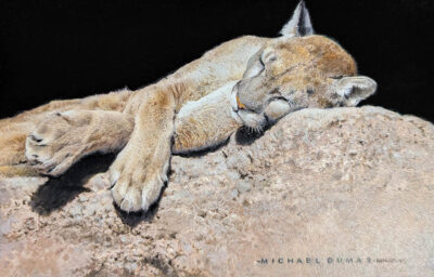 Rim-Rock Siesta - Michael Dumas