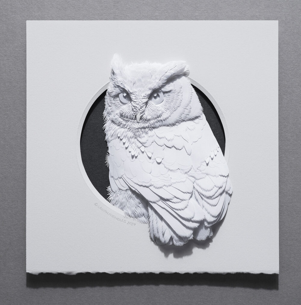 Screech Owl -Calvin Nicholls