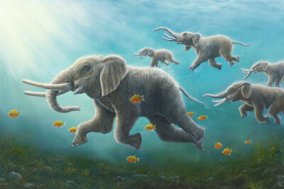 The Race - Robert Bissell