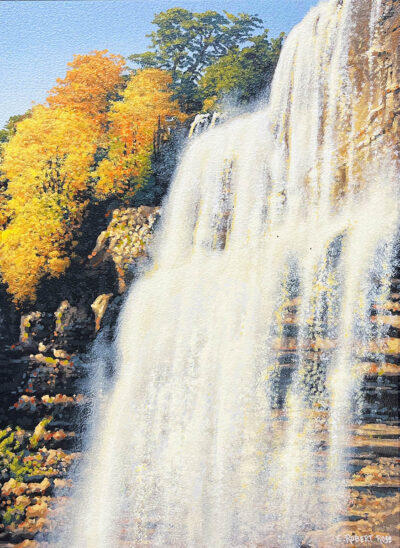 Webster's Falls - Robert Ross